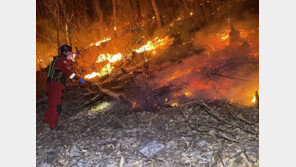 현대차 50억 삼성 30억…기업들 산불피해 지원 줄이어