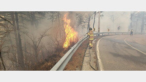 동해고속도로 옥계IC~동해IC ‘통행 재개’…“산불 연기 주의”