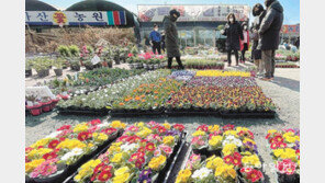활기 넘치는 화훼단지