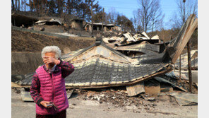 野 “자연재해를 선거에 이용한 與…정권교체로 심판할 것”