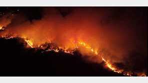 울진 전역에 불길 ‘속수무책’…금강송-불영사 문화재도 비상