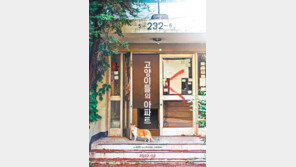 재건축 이후… 그 많던 ‘아파트 고양이’들은 어디로 갔을까