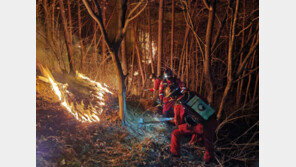 고령서도 산불 재발화…1주일전 합천·고령 태웠던 불씨 되살아나