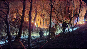 부산 아홉산 산불 사흘째 진화중…“강풍·지형 탓 어려움”