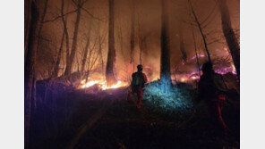 산림당국 “동해안지역 산불 7일 중 주불 진화할 것”
