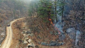 與, 울진·삼척 산불 피해복구 지원…“의원 전원 세비 30% 성금 모금”