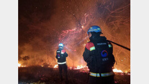 “금강송 군락지 방어 성공”…밤샘 사투 끝 500m 앞 불길 제압