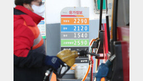 치솟는 휘발유價, 유류세 인하 효과 사라져…“인하폭 30%로 확대해야”