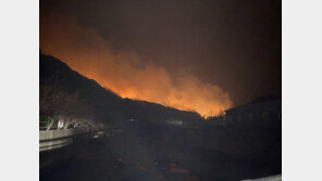 강원도내 산불 큰 불길 잡혀…진화율 강릉·동해 90%, 삼척 80%