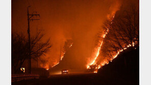 내일 다시 ‘강풍’ 예보…동해안 산불 주불 진화에 사활