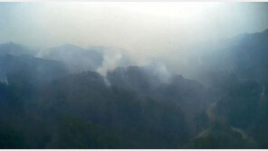 동해안 산불, 연무로 진화 차질…산림 1만5000㏊ 이상 훼손 추정