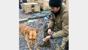이근 “우크라 도착…외교부 여권 무효화보다 지원 고민하라”