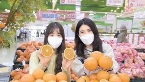 “국내산 오렌지 맛보세요”