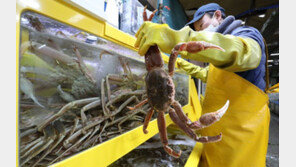 대게 등 러시아산 수산물값 급등