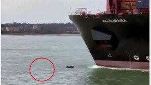 물놀이하다 오징어 될 뻔… 20만 톤 선박과 충돌 모면