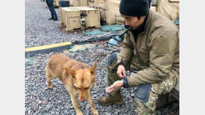 “가든 안 가든 난리” 우크라 도착한 이근, 욕설 논란