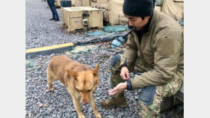 우크라行 택한 이근 행동에…日, 뜻밖의 칭찬 일색
