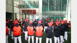 프로야구 KIA, 3명 코로나19 확진…5명은 자가진단키트 검사 양성