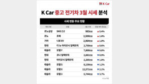 3월 중고 전기차 몸값 주춤 전망