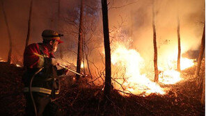 금강송 군락지 일부에 산불 번져…확산 차단 총력