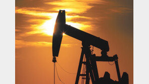 美, 독자적 러 원유 금수 검토…이르면 8일 법안 처리