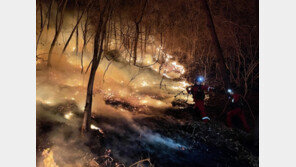 경북 울진 산불, 9일 오전 9시 진화율 70% 기록