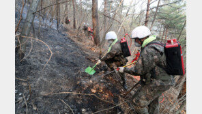 軍, 대선 당일에도 동해안 산불 진화에 총력… 병력 2000여 명 투입