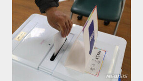 민주당 “유능한 대통령 필요…한 표가 미래 결정”