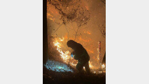 수원 광교산·의왕 백운산 불…5시간여 만에 진화