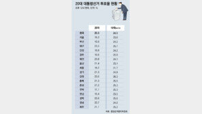 낮 12시 대선 투표율 20.3%…대구 23.5% 가장 높아