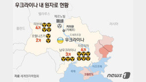 체르노빌 방사능 누출 위험…우크라 외무, 수리 위한 휴전 요구