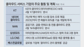 국내 IT기업들 “클라우드 독립”… 치열한 수주전 