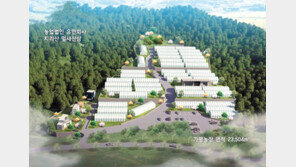 유효성분 삼뿌리의 10배… 잎새삼 부지, 1계좌에 月수익 50만원