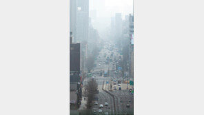 겨울가뭄, 봄까지 갈 듯… 산불 추가발생 우려 