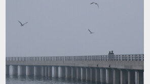 [날씨]출근길 전국 곳곳 짙은 안개 주의…수도권 미세먼지 나쁨