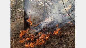 울진·삼척 산불 일주일째 75% 진화…대구 달성도 50% 더뎌