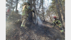 울진 산불 금강송 군락지 300m까지 접근…진화 중