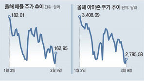 아마존, 20대 1 액면분할… 서학개미 “17만원이면 1주 매입” 군침