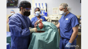 돼지 심장 이식 환자 사망…이종장기 개발 빨간불 켜지나