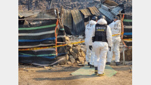 “무시해서 불 질렀다” 강릉·동해 산림 잿더미 만든 60대 방화범 검찰 송치