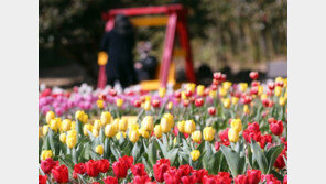 [날씨]포근해도 잿빛 하늘…대기 매우 건조 ‘화재주의’