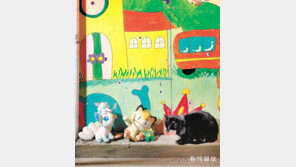 [고양이 눈]고양이의 고민