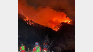 산림청장 “울진 산불, 92% 진화…응봉산 정상에 빗방울”