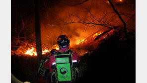 213시간 불탄 울진 산불 원인 규명 조사 본격화
