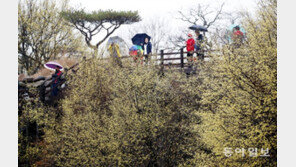 14일 전국 대부분 ‘빗방울’…낮 기온 평년보다 높아 일교차 커