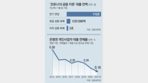 코로나 지원에 자영업 대출 ‘연체율 최저’ 착시… “부실 폭탄 우려” 