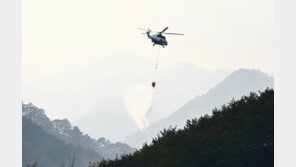 최장 213시간 동해안 산불, 축구장 3만4930개 면적 태우고 꺼졌다