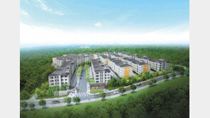 ‘명품 학군’ 따라 제주가 들썩… 영어교육도시 ‘꿈에 그린’ 내 집