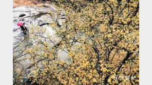 어느새 성큼 다가온 봄