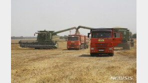 우크라 전쟁에 세계 밀가격 전년대비 72% 급등…“가격 더 오를 듯”